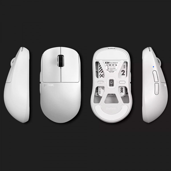 Pulsar X2H White (Size 2)