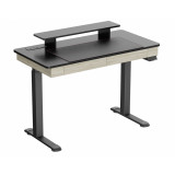 Eureka Ergonomic ED-I47 Standing Desk Rustic Grey, 47"