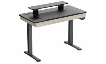 Eureka Ergonomic ED-I47 Standing Desk Rustic Grey, 47"