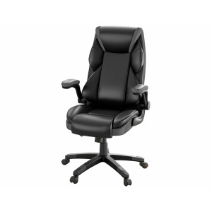 Eureka Ergonomic Galene Chair Black