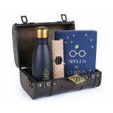 Pyramid Premium Gift Set Harry Potter: Trouble Finds Me